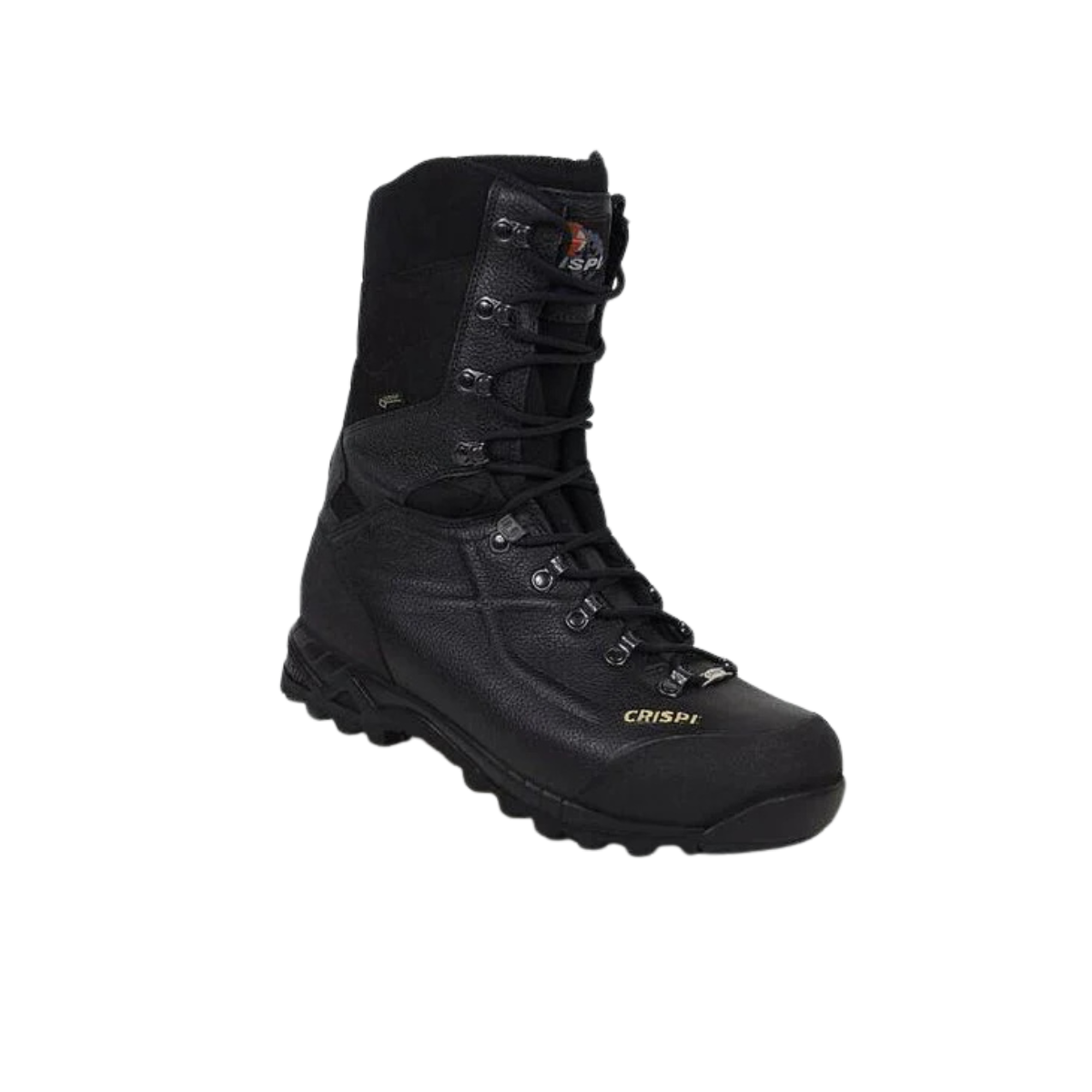 Crispi Titan GTX Svart