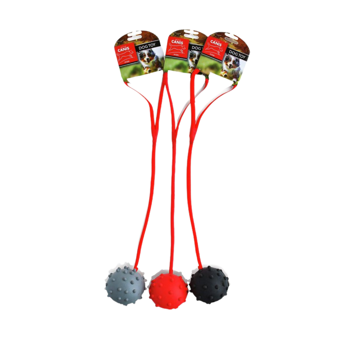 Active Canis Ball with rope