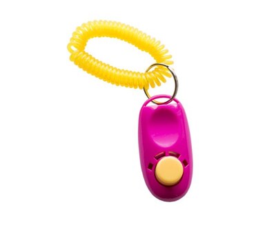 Active Canis Clicker with wristband