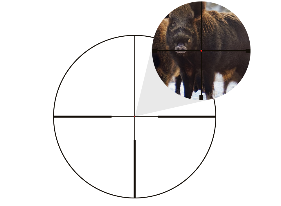 GPO Spectra 6X 2-12x50