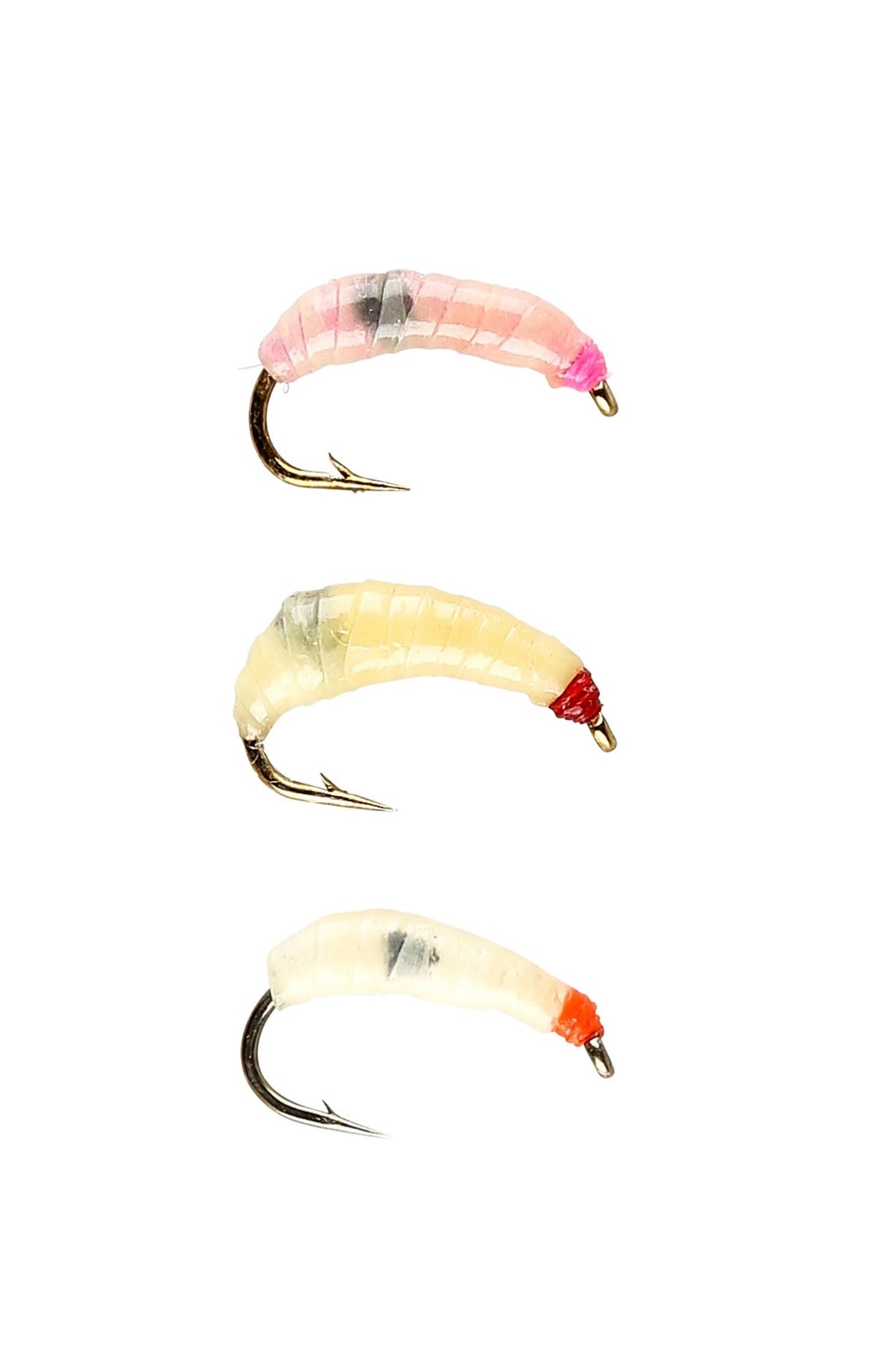 IFISH Maggots