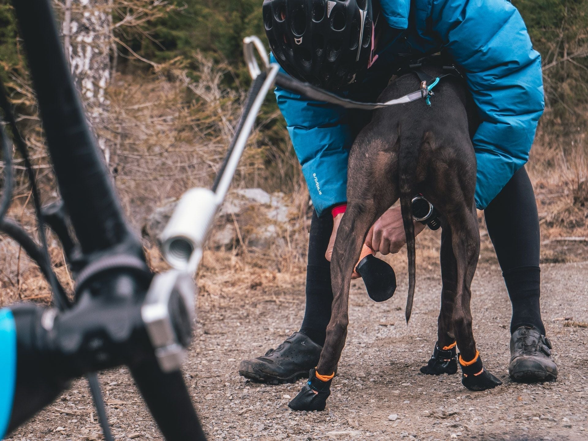 Non Stop Protector Bootie 4pack