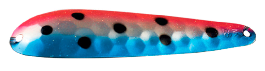 Northern King Mag Rainbow