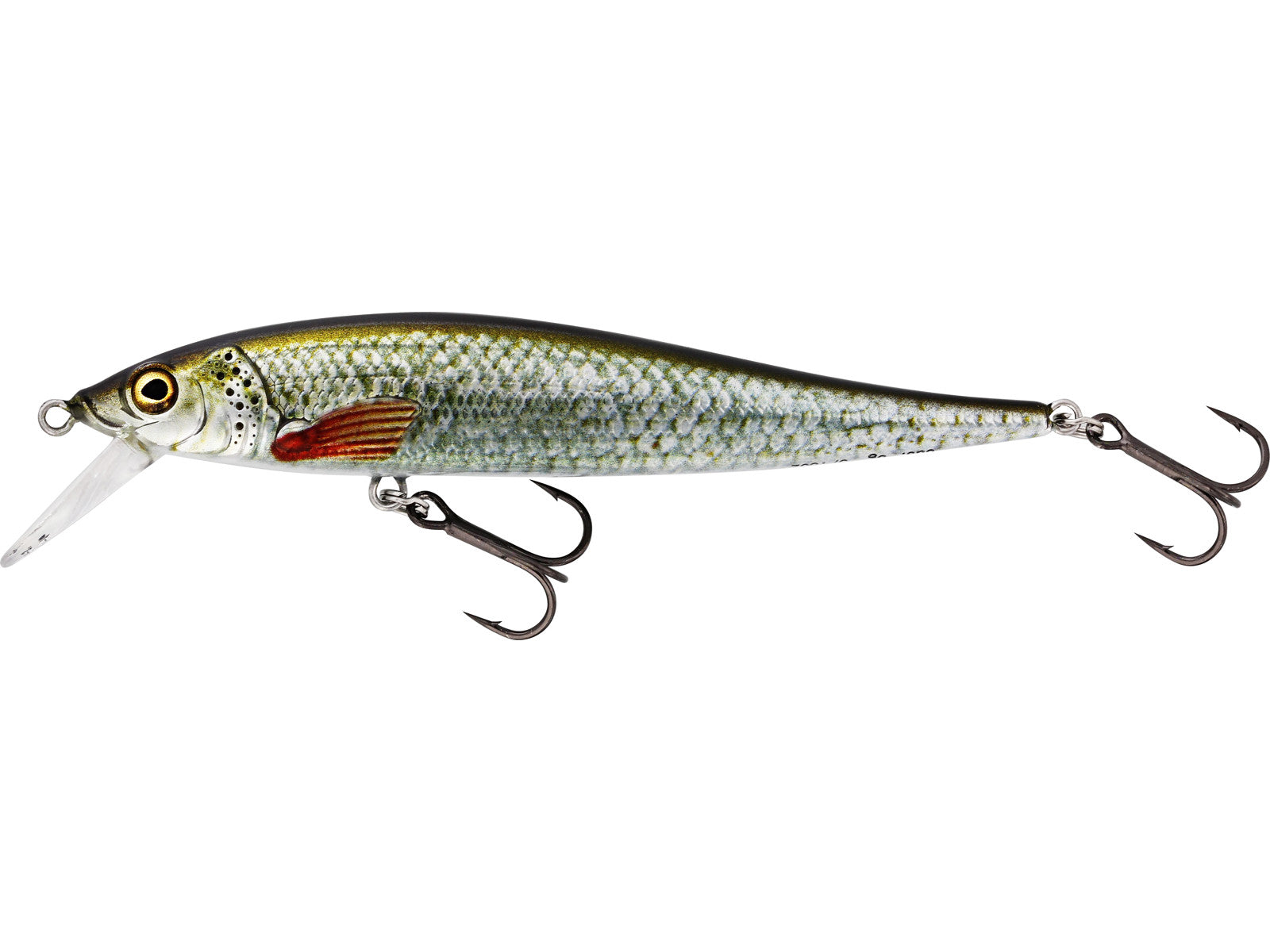 Westin Jerkbite SR - Real Roach