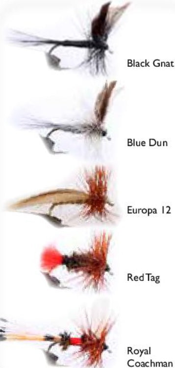 Wiggler Torrflugor 1 5p