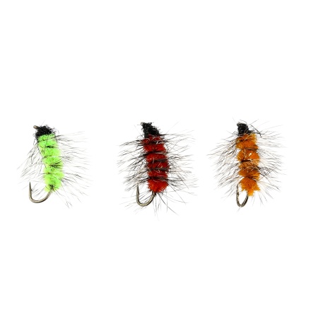 IFISH Caterpillars 3-pack