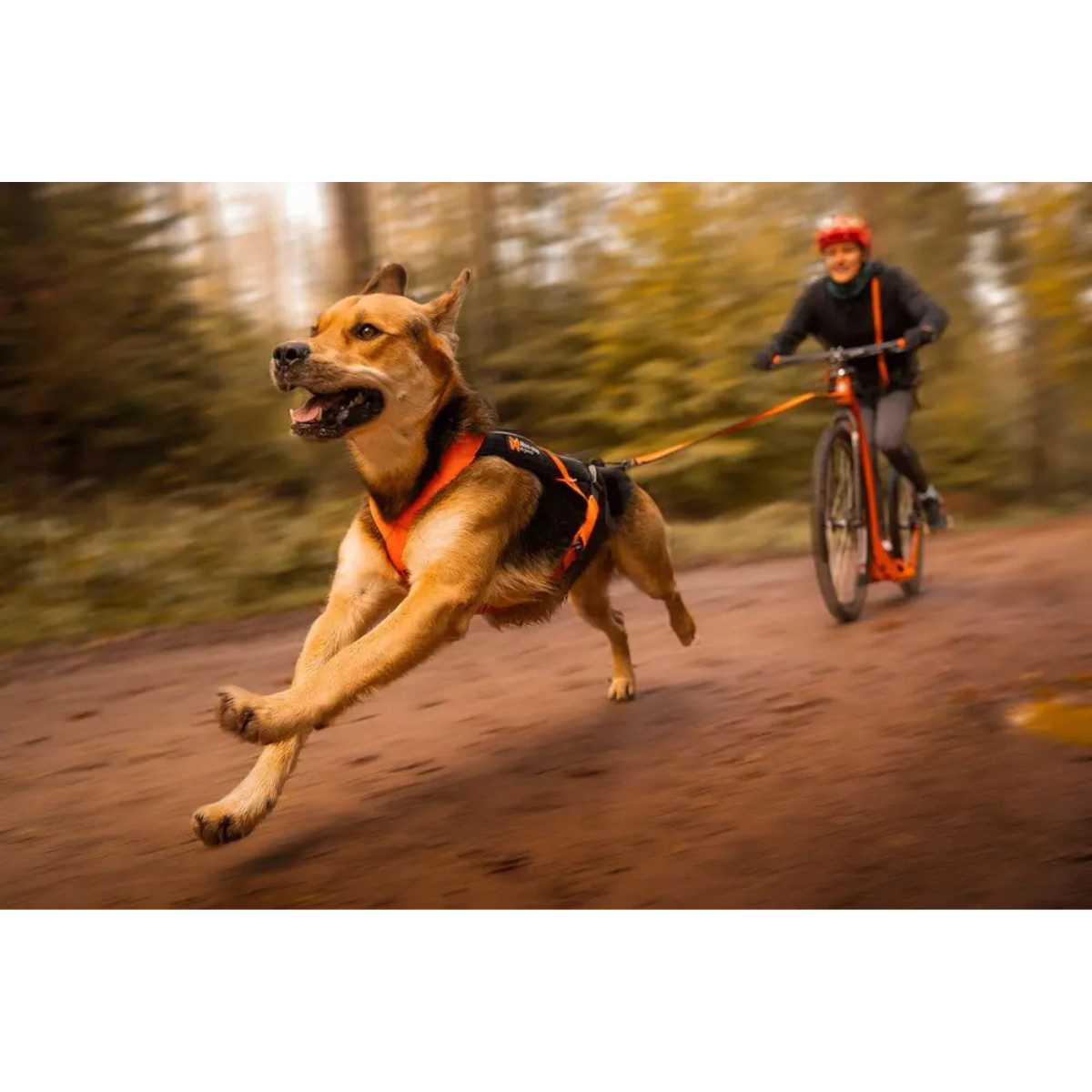 Non Stop Freemotion Harness 5.0