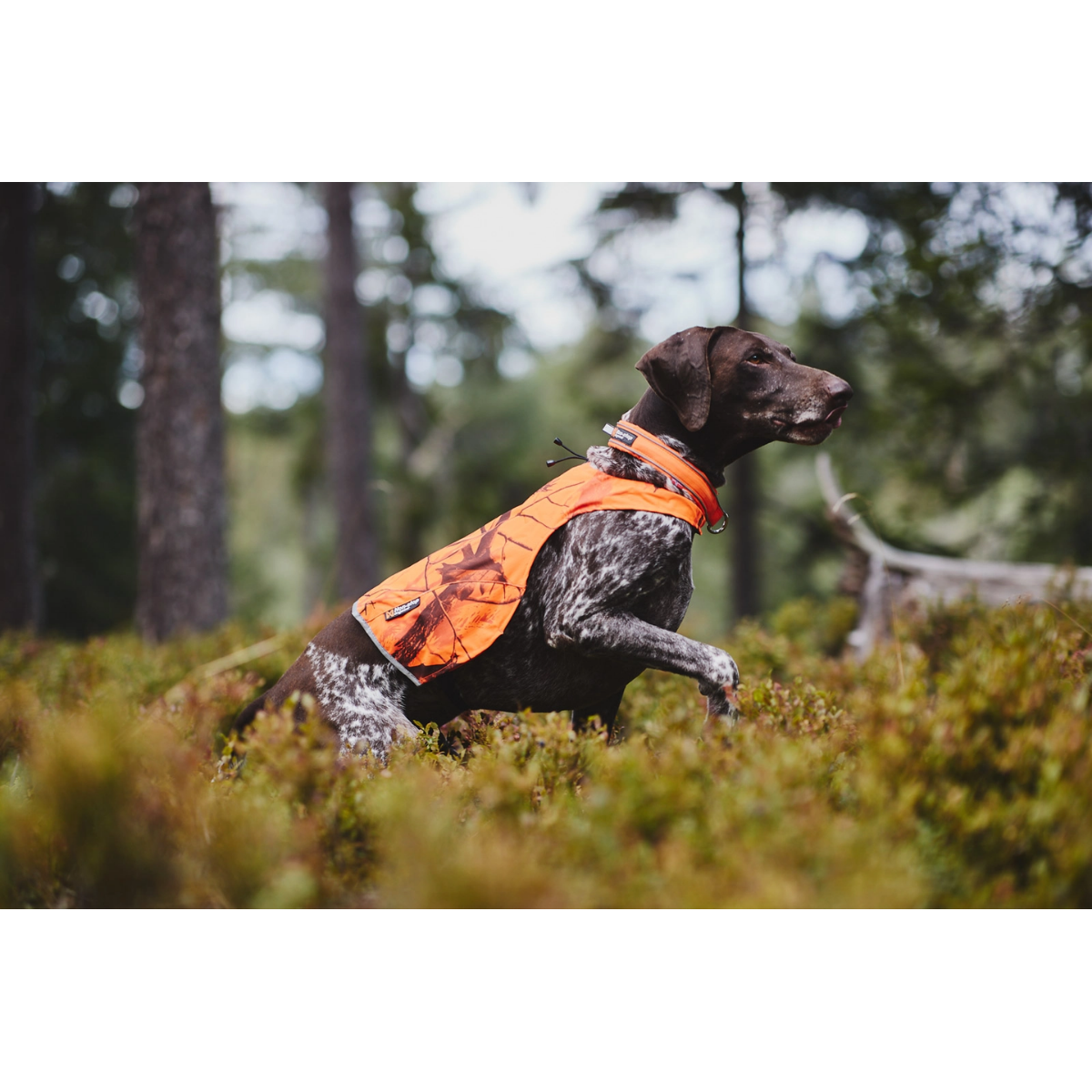 Non Stop Camo Cover Orange/Camo