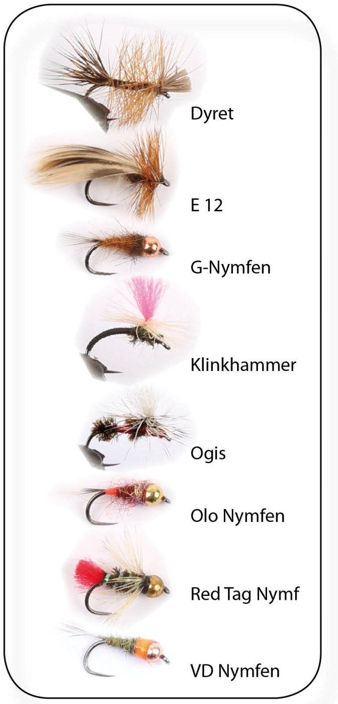 Wiggler Roffes Öringflugor 8p #12