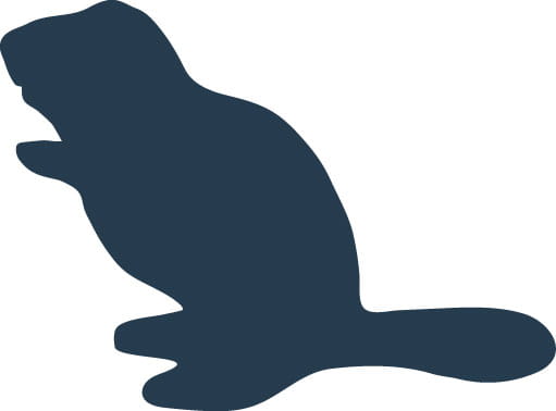 Remington 223 55gr Accutip-V