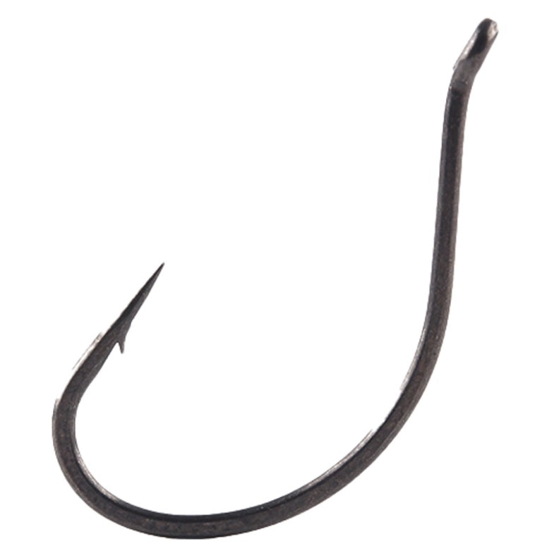 BKK DSS-Worm