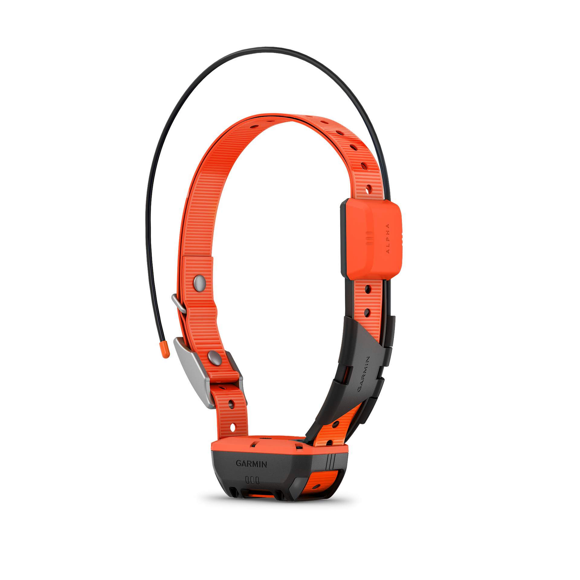 Garmin Halsband Alpha T20