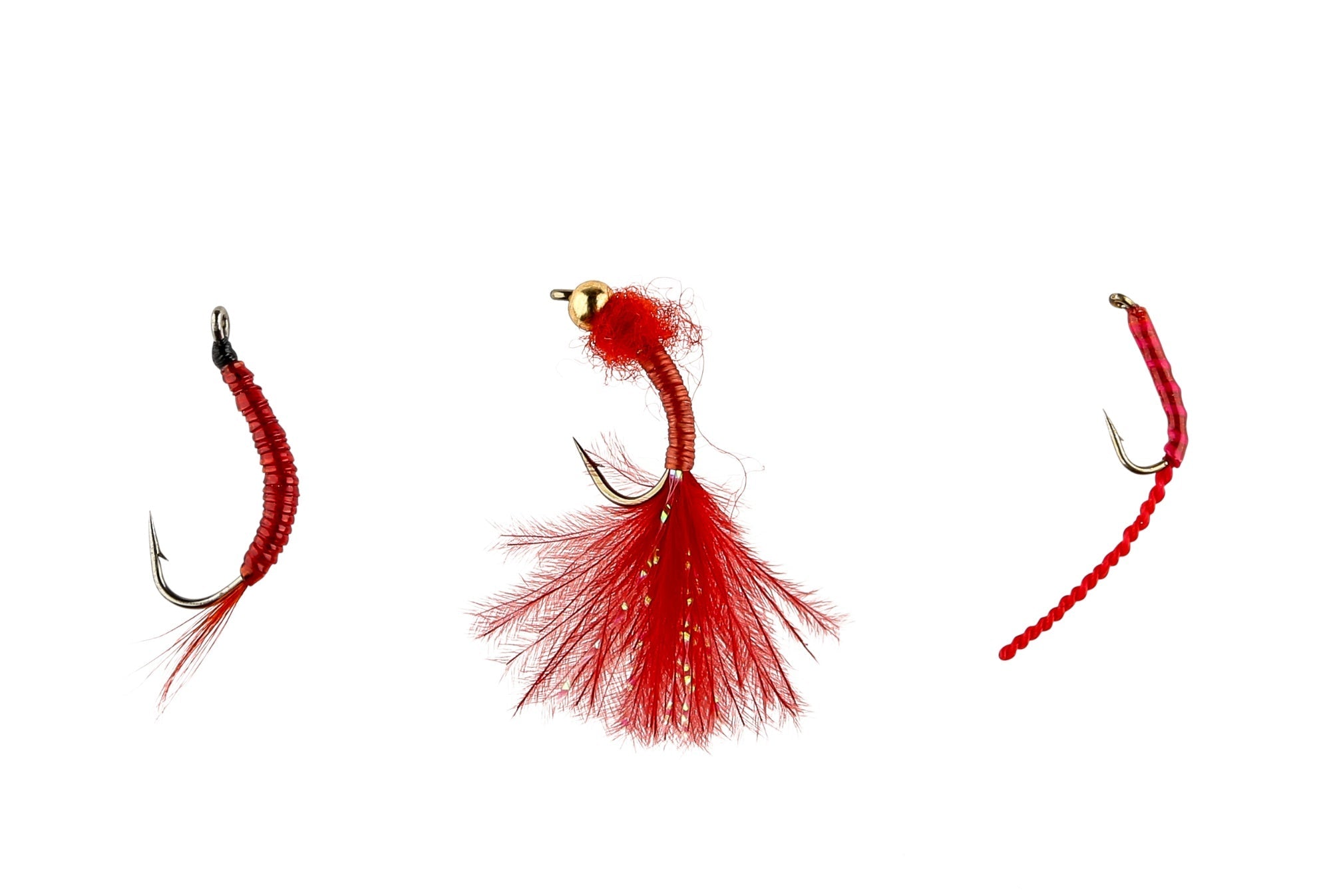 IFISH Bloodworms
