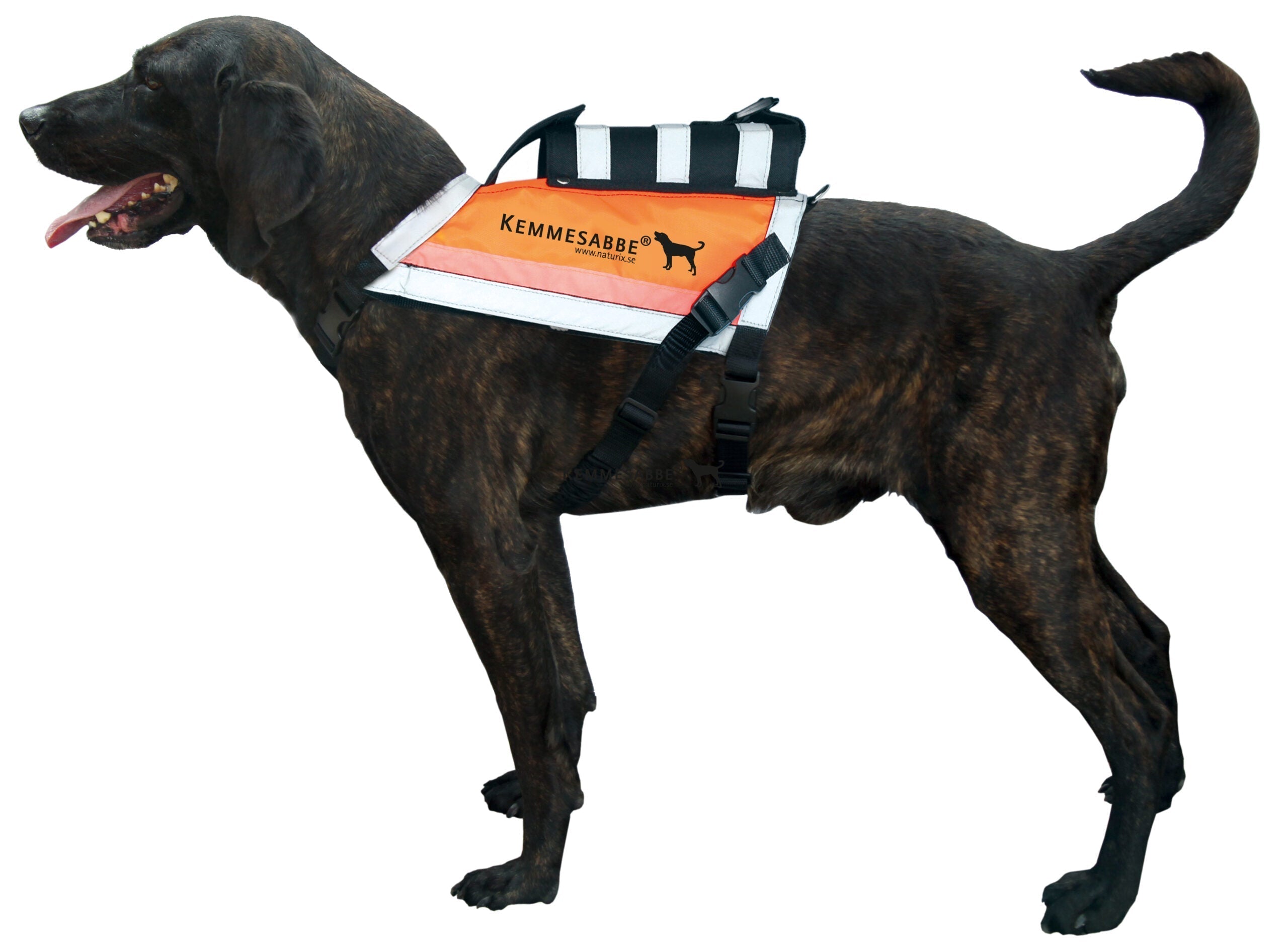 Kemmesabbe GPS Väst