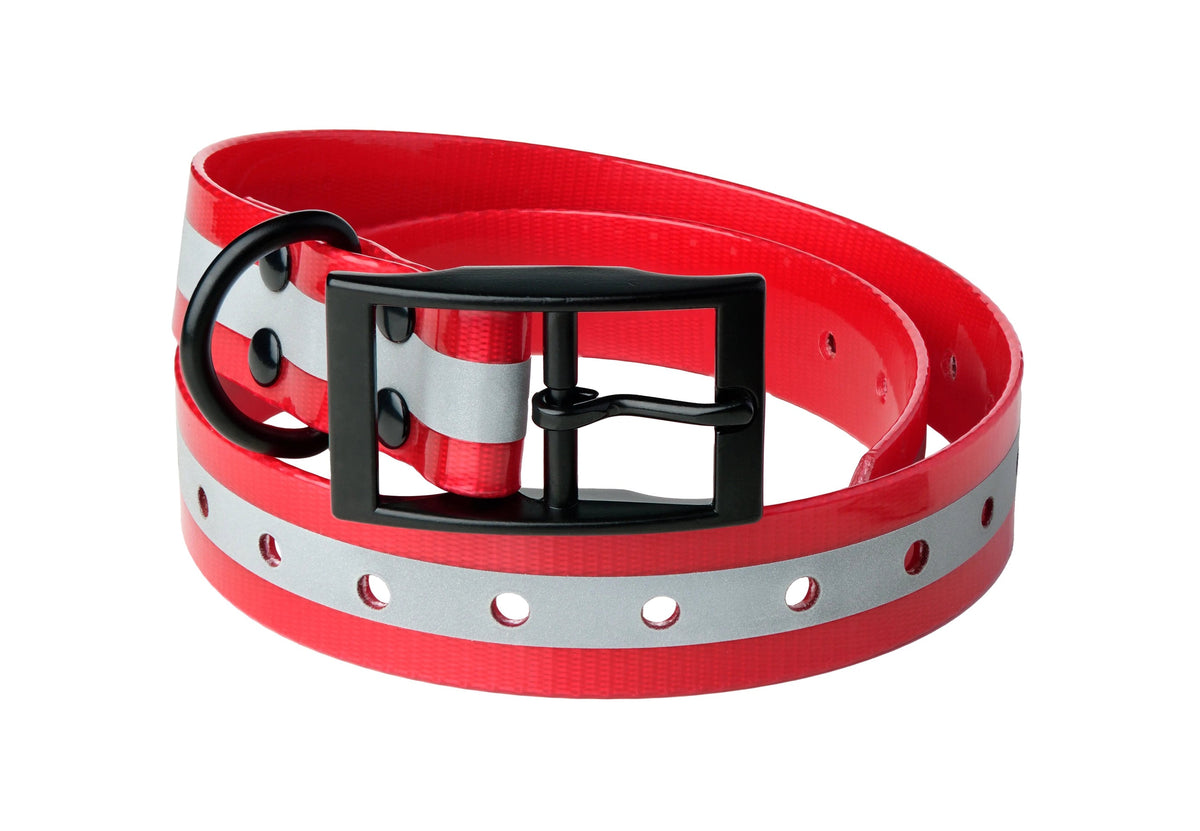 Lafayette Hundhalsband Röd med Reflex