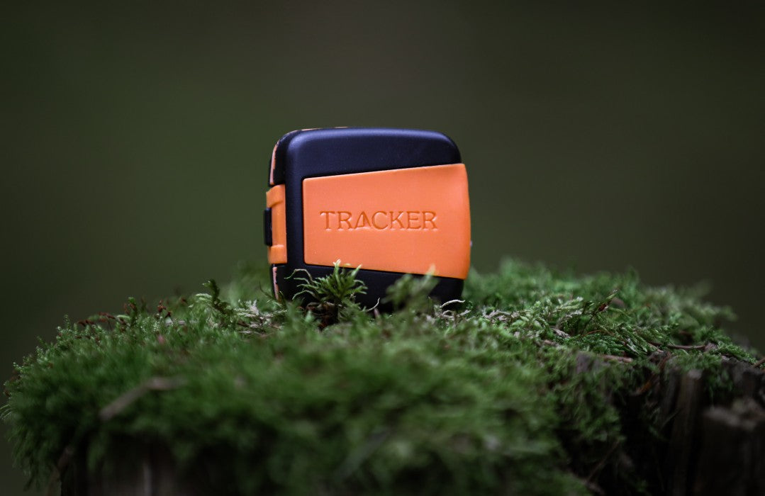 Tracker Bark 4G IoT
