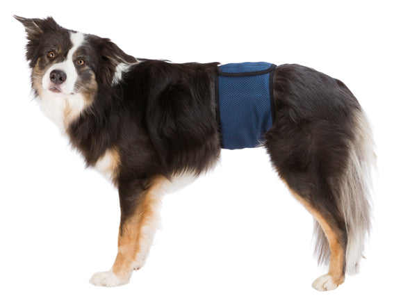 Trixie Hanhundsskydd s-M 37-45cm