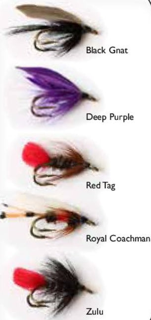 Wiggler Dubbla Våtflugor 5p